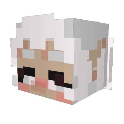 iisfuni Minecraft avatar head, 3D render