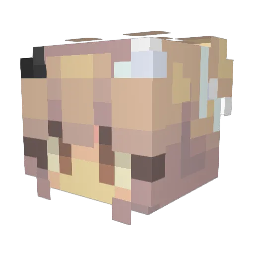 iisg Minecraft avatar head, 3D render