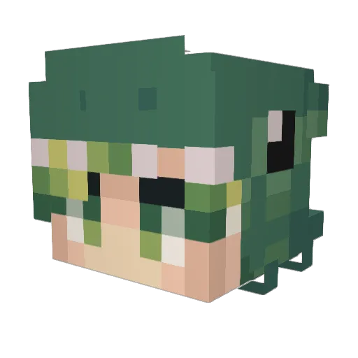iiska Minecraft avatar head, 3D render