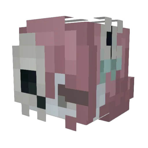 iisleepys Minecraft avatar head, 3D render