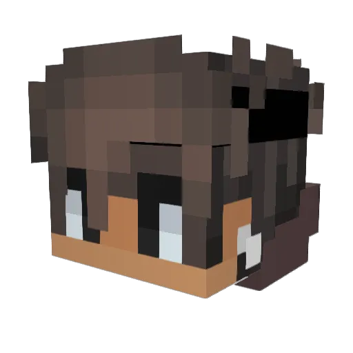iisslam_xD Minecraft avatar head, 3D render