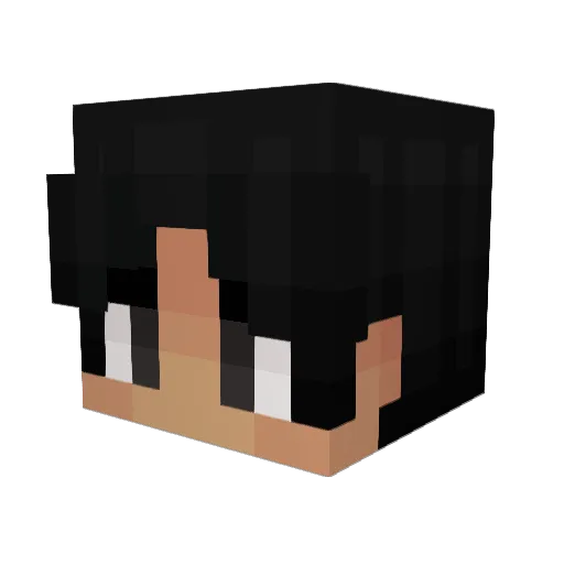 iitSnow Minecraft avatar head, 3D render