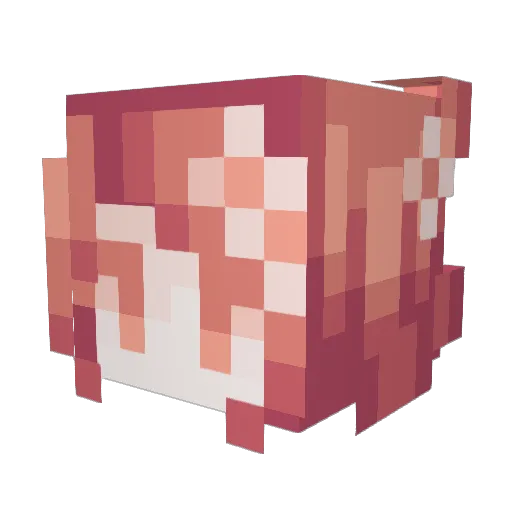 iitokyo_ Minecraft avatar head, 3D render