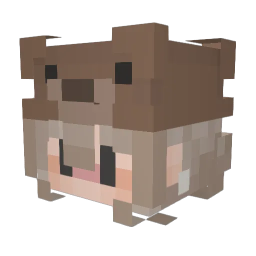 iitsLemon Minecraft avatar head, 3D render