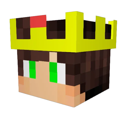 iitucktuckii Minecraft avatar head, 3D render
