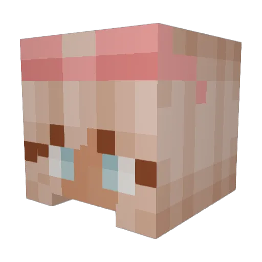 iivics_x Minecraft avatar head, 3D render