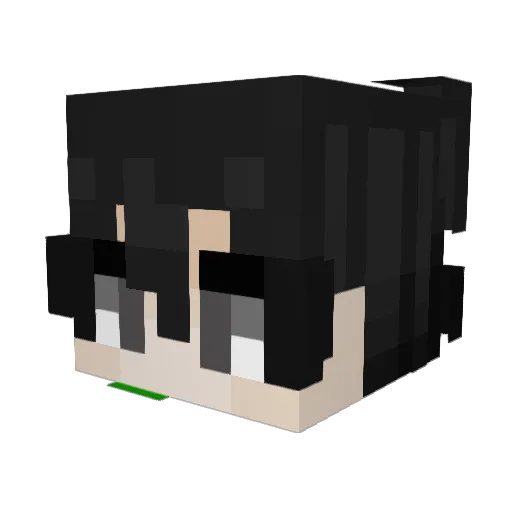 iizj Minecraft avatar head, 3D render
