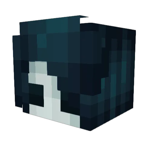 iizukii Minecraft avatar head, 3D render