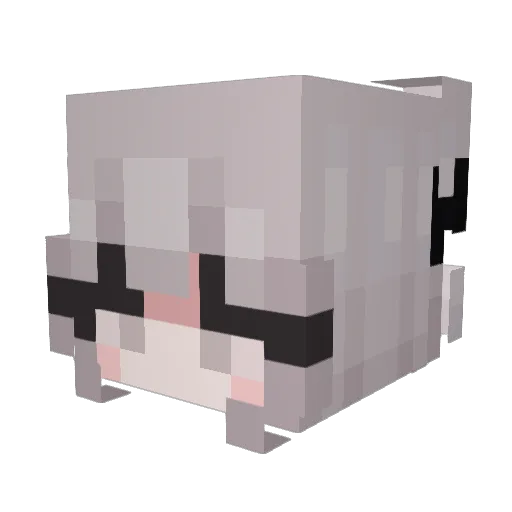 ijli1 Minecraft avatar head, 3D render