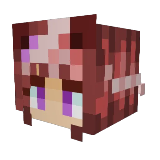 ikachan6038 Minecraft avatar head, 3D render