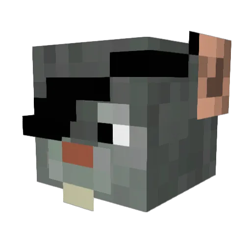 ikagyoza Minecraft avatar head, 3D render