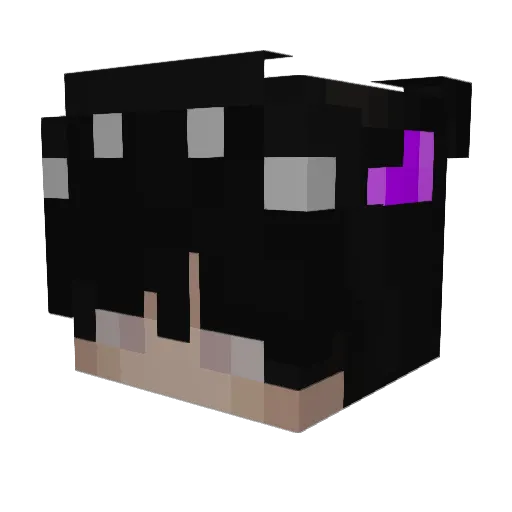 ikbenzweet Minecraft avatar head, 3D render