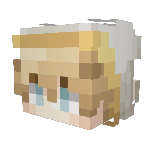 ikillfoidsforfun Minecraft avatar head, 3D render
