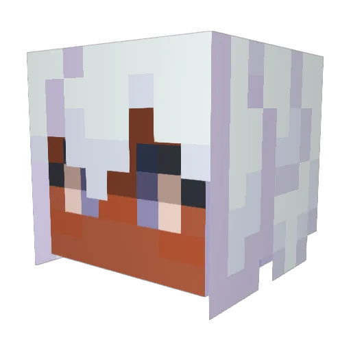 ikoli39 Minecraft avatar head, 3D render