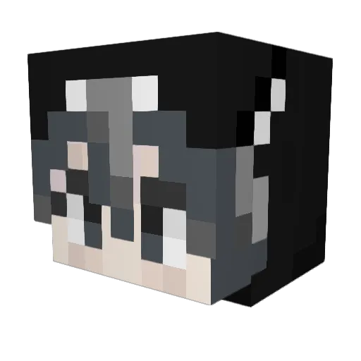 ikumi77 Minecraft avatar head, 3D render