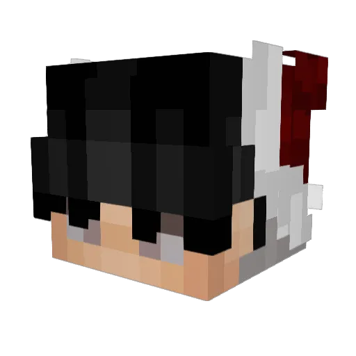 ilXFINITY Minecraft avatar head, 3D render