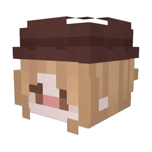 ilaudas Minecraft avatar head, 3D render