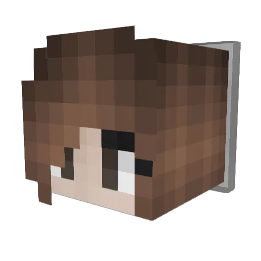ileaninreverse Minecraft avatar head, 3D render