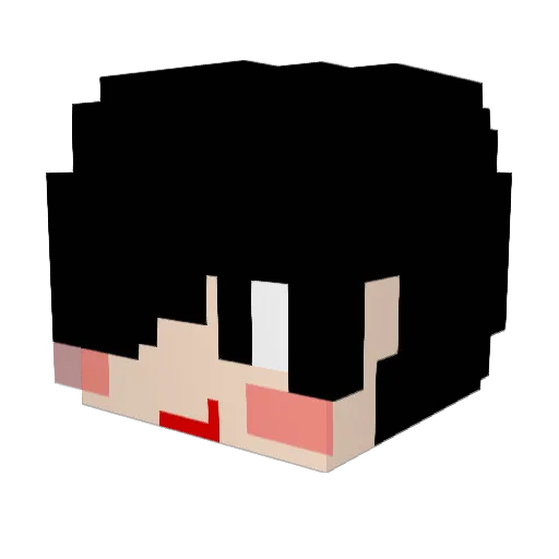 ilhanpark Minecraft avatar head, 3D render