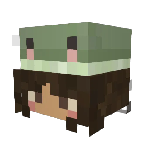 ilikeavocadosss Minecraft avatar head, 3D render