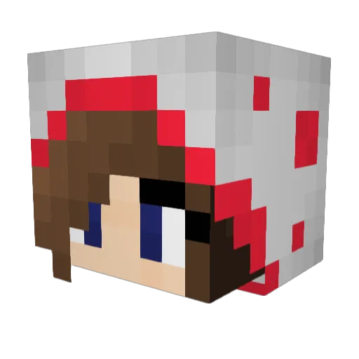 ilikeendermen27 Minecraft avatar head, 3D render