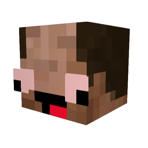 ilikeguns_ Minecraft avatar head, 3D render