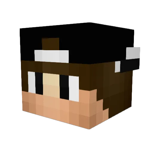 ilikehimbuerger Minecraft avatar head, 3D render