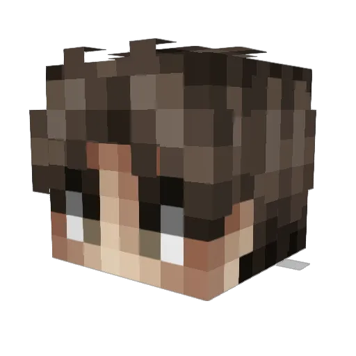ilikehotwheels6 Minecraft avatar head, 3D render