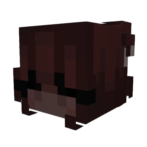 ilikeitwet Minecraft avatar head, 3D render