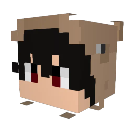 ilikeoranges52 Minecraft avatar head, 3D render