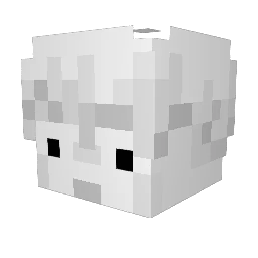 ilikepenguins987 Minecraft avatar head, 3D render