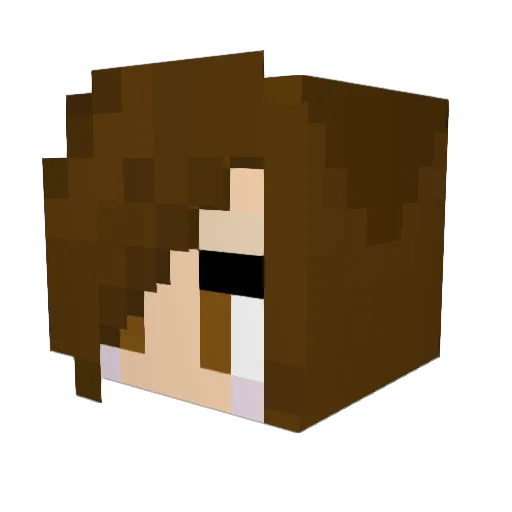 ilikepickles02 Minecraft avatar head, 3D render