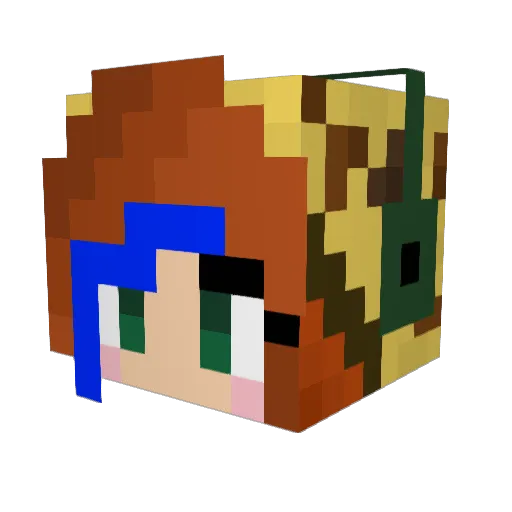 iliketurtledicks Minecraft avatar head, 3D render