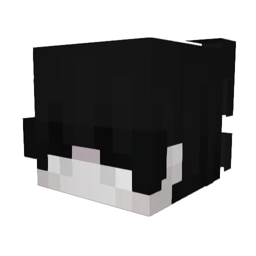 ililliiliiiliill Minecraft avatar head, 3D render