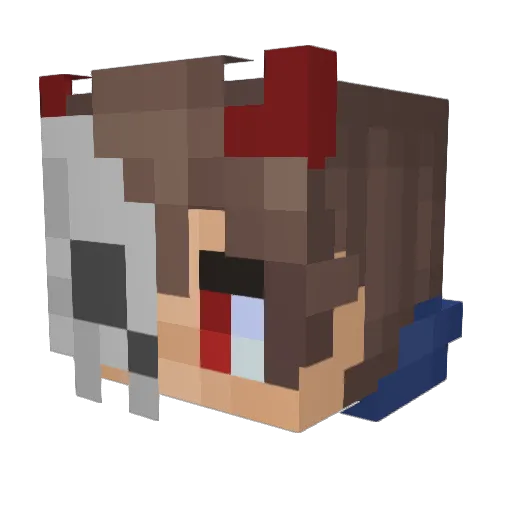 ilisnz0 Minecraft avatar head, 3D render