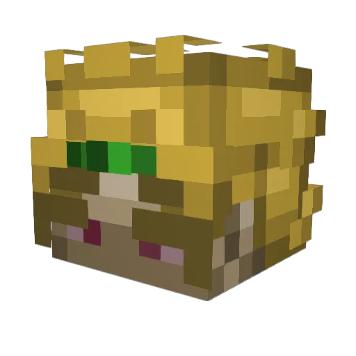 ilive4airtime Minecraft avatar head, 3D render