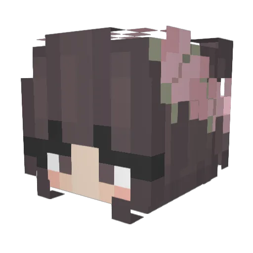 illaaydaa Minecraft avatar head, 3D render