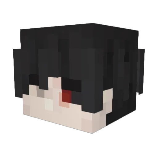 illegalarmdealer Minecraft avatar head, 3D render