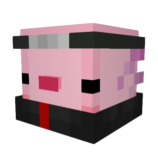 illeraa Minecraft avatar head, 3D render
