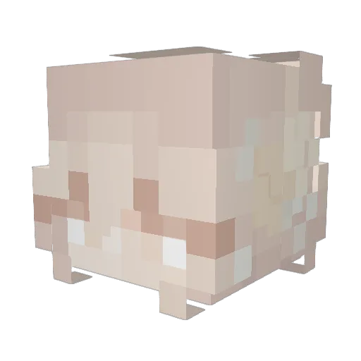 illsoemii Minecraft avatar head, 3D render