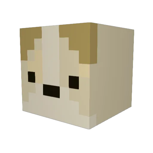 illtern Minecraft avatar head, 3D render