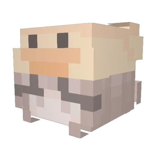 illuminath Minecraft avatar head, 3D render