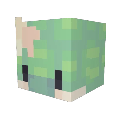illunarii Minecraft avatar head, 3D render