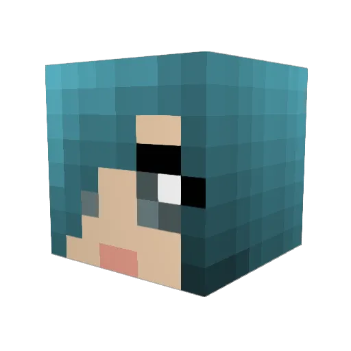 illusion1004 Minecraft avatar head, 3D render