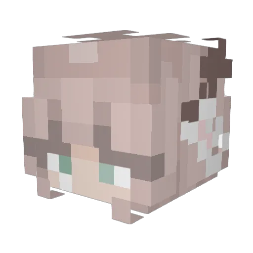 illustratings_ Minecraft avatar head, 3D render