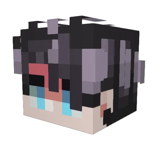 illusurmised Minecraft avatar head, 3D render