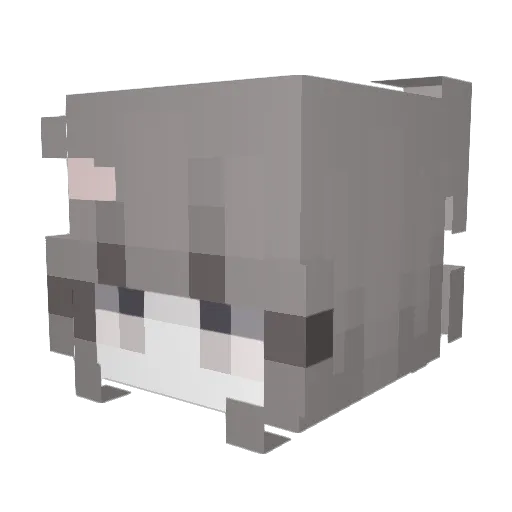 illwy Minecraft avatar head, 3D render