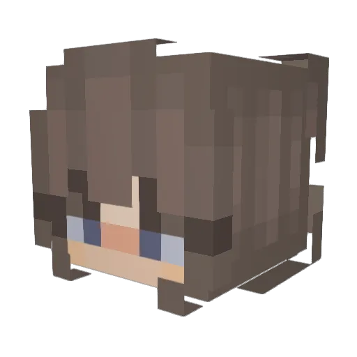 illynen Minecraft avatar head, 3D render