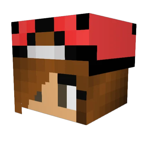 iloveLana Minecraft avatar head, 3D render
