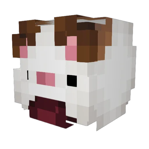 ilovebigpickles Minecraft avatar head, 3D render